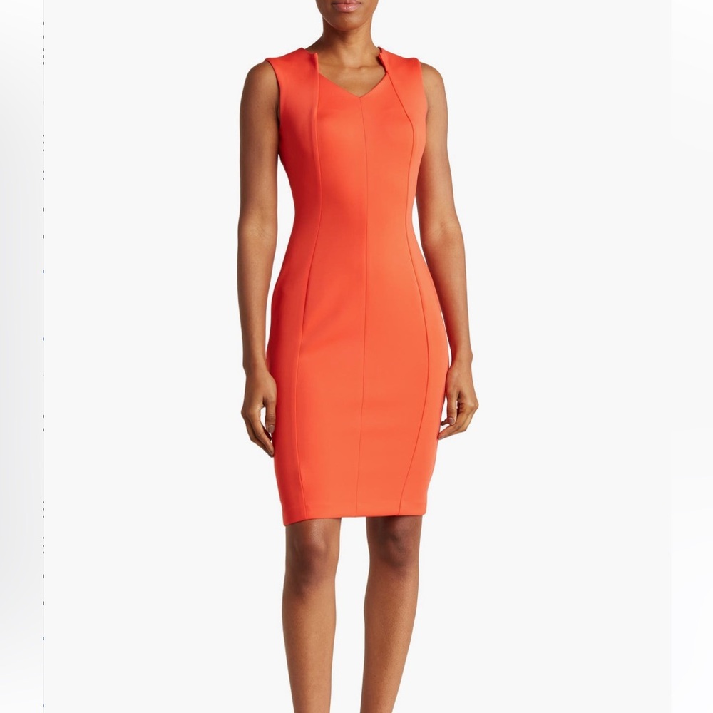 NWT Calvin Klein ginger sheath dress